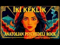 İki Keklik | Anatolian Psychedelic Rock Cover | Anatolian Dream