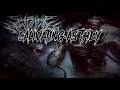 Shrine of Malice - Lord of Flies [ft. Tom Barber] (W/ lyrics)