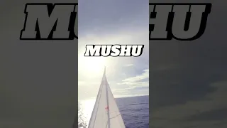 It’s just beautiful. #captaingermanexploring