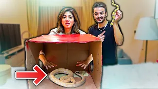 مقلبت نارين ب اكثر شي تخاف منو   مقلب الافعى   دندنها
