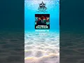 Download Lagu the GLITCH song #amapiano #songlyrics #musiclyrics #afrohouse #newmusic #glitch #makethisgoviral