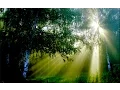 Download Lagu LEO ROJAS - Watch Over My Dreams