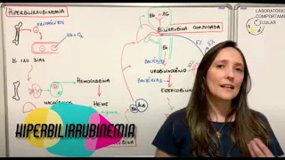 Patologia Geral - Aula Teórica - Pigmentacão patologia - Hiperbilirrubinemia