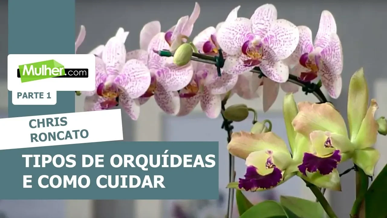TIPOS DE ORQUÍDEAS E COMO CUIDAR CHRIS RONCATO 03/04/2018 MULHER.COM P1