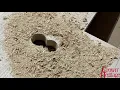 Box Newel Installation