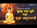 Download Lagu सुबह शाम सुने ये मधुर बुद्धा अमृतवाणी - Buddha Amritwani - Buddha Bhajan - एक बार जरूर सुनना