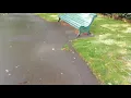Myatts field pt2