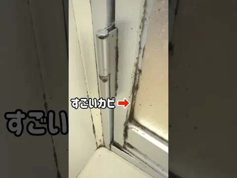 ゴムパッキンについた頑固なカビを落とす方法
