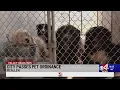 City of McAllen passes pet ordinance