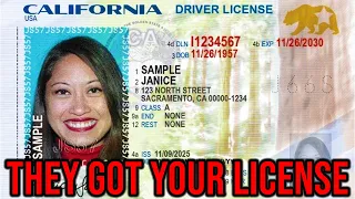 Your Drivers License Probably Just Leaked
