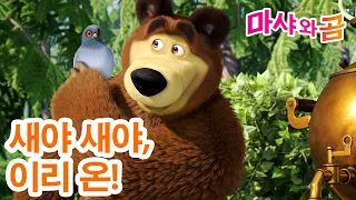 마샤와 곰 👧🐻 새야 새야,이리 온! 🐦💕✨ 9월 11일 새 에피소드! 🌟 Masha and the Bear