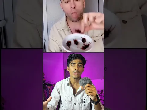 China’s Secret Cockroach Farm 😳