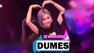 Download DUMES - DJ BREAKBEAT VIRAL DUGEM JEDAG JEDUG FULL BASS MP3