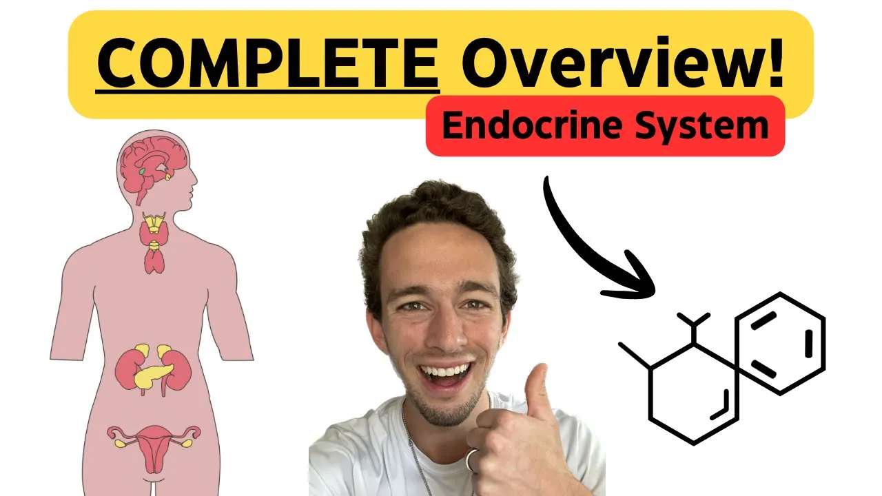 Endocrine System | Everything you NEED to Know! | Hormones, Glands & Feedback Loops