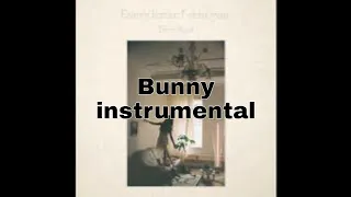 Download Yerin Baek - Bunny | Instrumental MP3