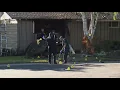 Driver charged with murder after deadly crash into Modesto home