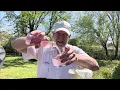 Chi-Chi s Pink Lemonade Margarita Flavored Cocktail 12 5 Abv 25 Proof The Beer Review Guy