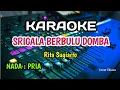 Download Lagu Srigala Berbulu domba - Karaoke - Rita sugiarto - Nada Pria