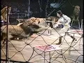 Fred Meyer Ringling Bros Circus 80s Commercial 1988