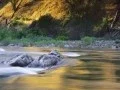 River Flows In You - Yiruma