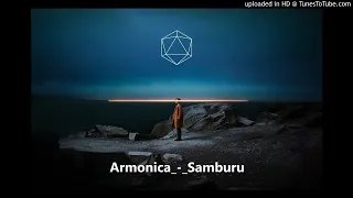 armonica samburu