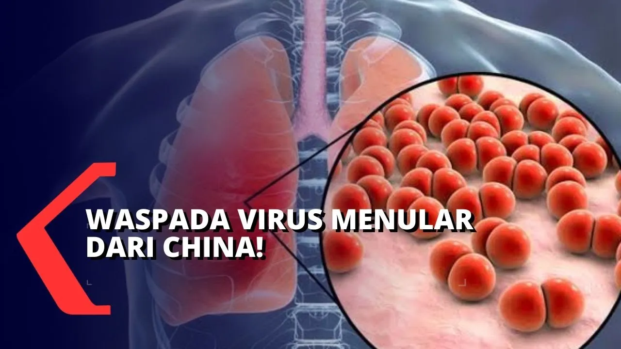 Beredarnya informasi virus corona yang berasal dari konsumsi daging hewan liar, rupanya tak memengar. 