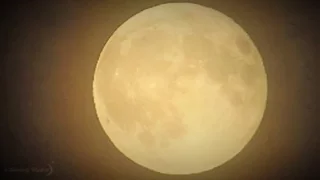 Harvest Full Moon Sept 16 2016 Toronto