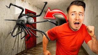 Meine HAUSTIER SPINNE ist ausgebrochen...🕷️🕸️ (HILFE)