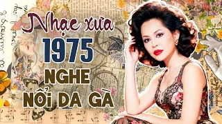 Đích Thị Là Giọng Hát Của Danh Ca Nhạc Vàng 20 Năm Mới Tìm Ra - LK Gõ cửa, An phận