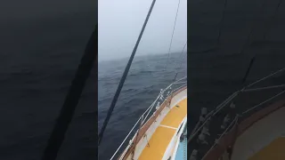 Calm after the Storm