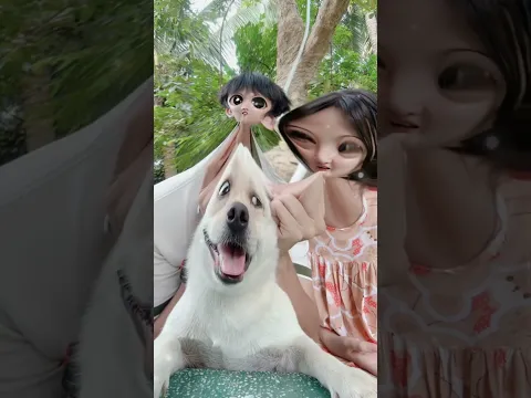 MẶC MỘC NHA #tranvyvy