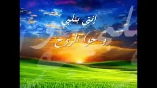 فضل شاكر و اليسا جوا الروح 2010 مع الكلمات 