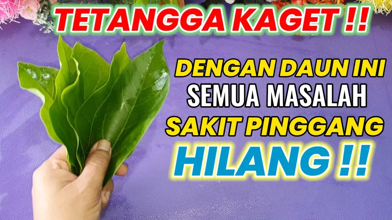 Sakit pinggang sering dianggap enteng bagi orang yang mengalaminya. Padahal sakit pinggang bisa jadi. 