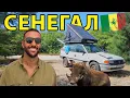 SENEGAL // CRAZY OFF-ROAD BORDER CROSSING