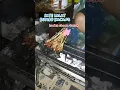 Download Lagu SATE LALAT SITUBONDO‼️Sate Ayam Bumbu Kacang Laris Banget Artis Makannya Disini | Kuliner Situbondo MP3