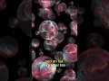Download Lagu Multiverse in the Quran: The reality of seven Earth