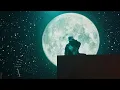 Trueno - FEEL ME?? (Video Oficial)