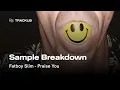 Download Lagu Sample Breakdown: Fatboy Slim - Praise You