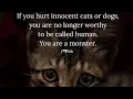 It s Monday the first day of the Giving PAWS donation week