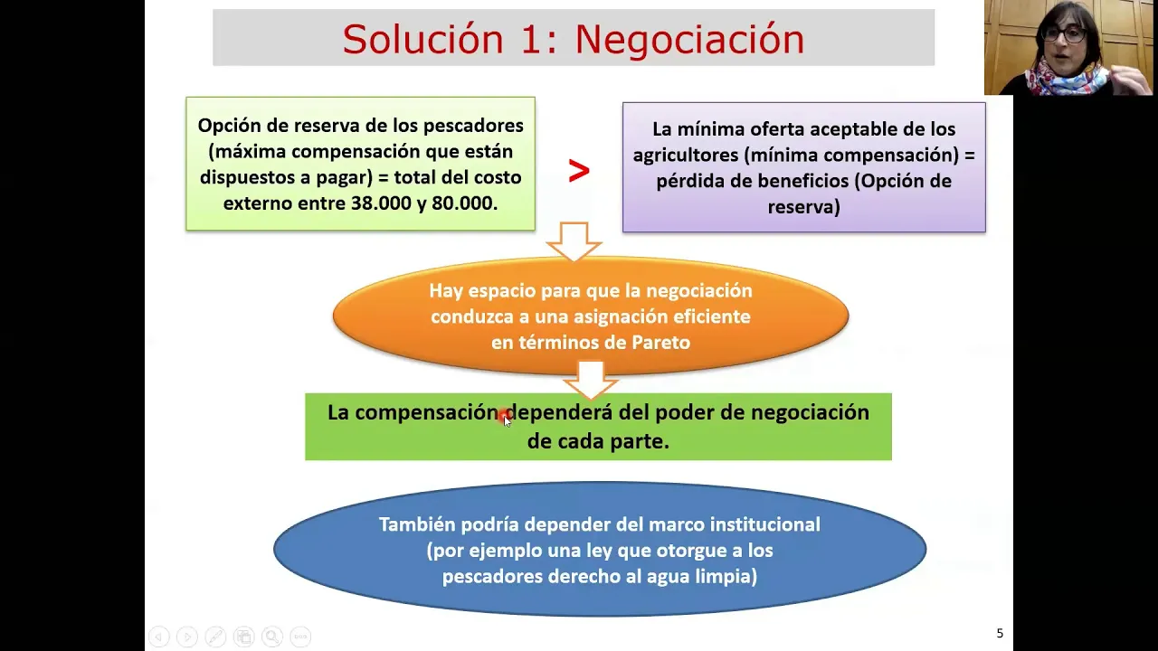 V.5.3. Solución 1: Negociación privada (Coase)