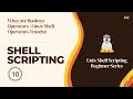 What are Boolean Operators Linux Shell Operators Tutorial Scripting Hacking