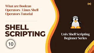 What are Boolean Operators Linux Shell Operators Tutorial Scripting Hacking