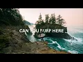 Download Lagu Why I Surf the Cold PNW (yes, there's sharks)