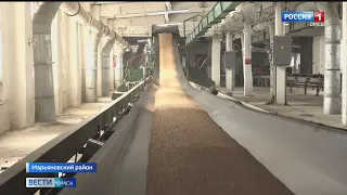 На омских элеваторах начали принимать зерно нового урожая