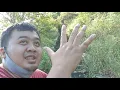 Download Lagu Misteri Pendakian Gunung Maskumambang Kediri, \