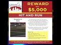 Hit-and-Run Up to 5 000 Reward Tampa Crime Stoppers Needs Your Help