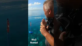 BLU3 Nomad: The best product for underwater maintenance and exploration! #boat #blu3 #blu3nomad