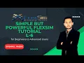 Complex Simulation Model using Process Flow Method FlexSim Tutorial 2025 Lecture 6