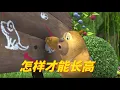 Download Lagu 儿童动画 | 熊熊乐园 Boonie Cubs   合集7-9  怎样才能长高