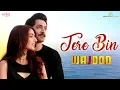 Download Lagu Tere Bin | Wajood Movie | New Love Song | Danish Taimoor, Saeeda Imtiaz | Hindi Song 2018